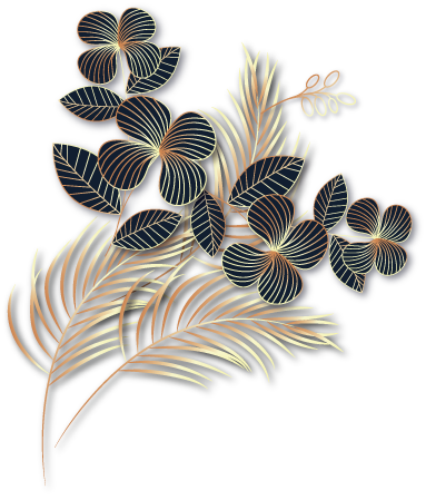 the amantola img